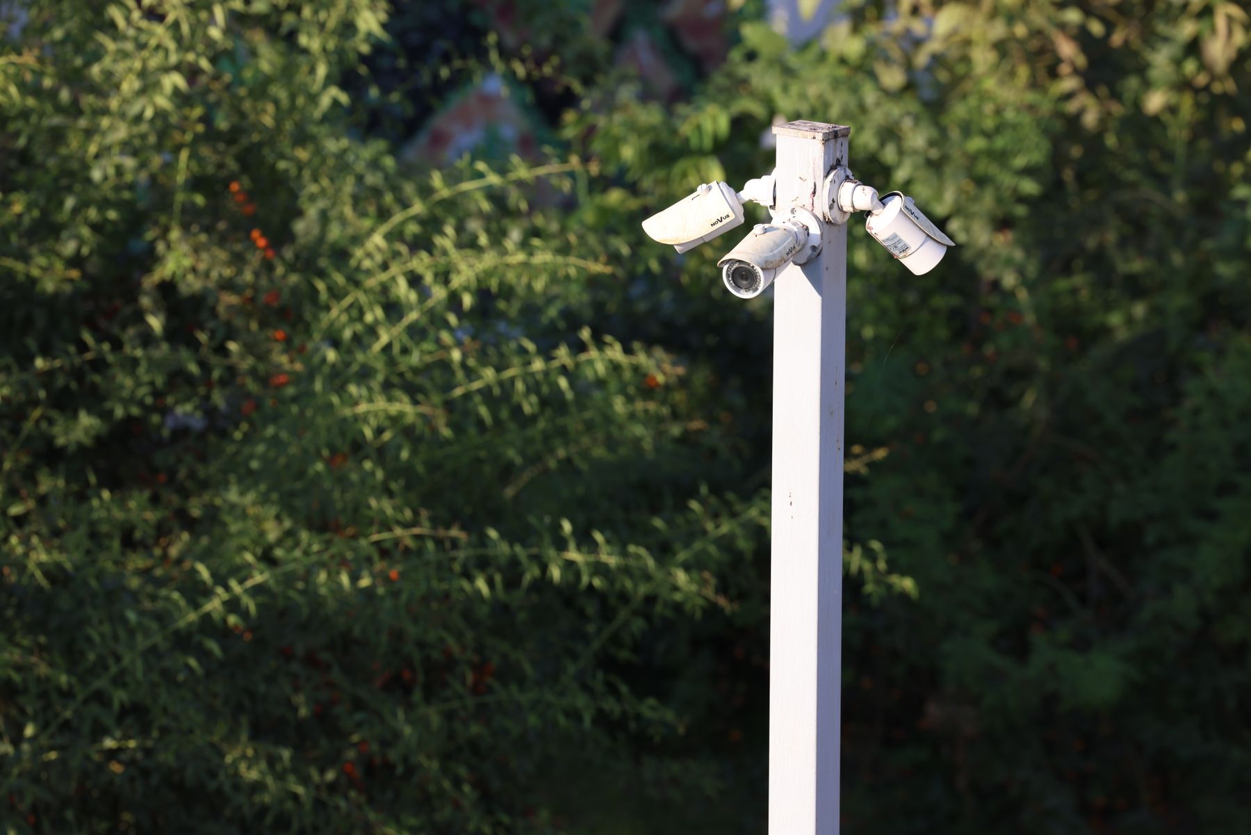 Outdoor CCTV cameras mounted together on a pole
